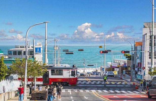 Busan's Cultural Wonders with Beach Train & Gamcheon Village etc