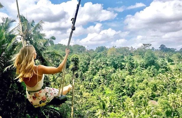 Best of Ubud Tours with Jungle Swing ( All Inclusive )