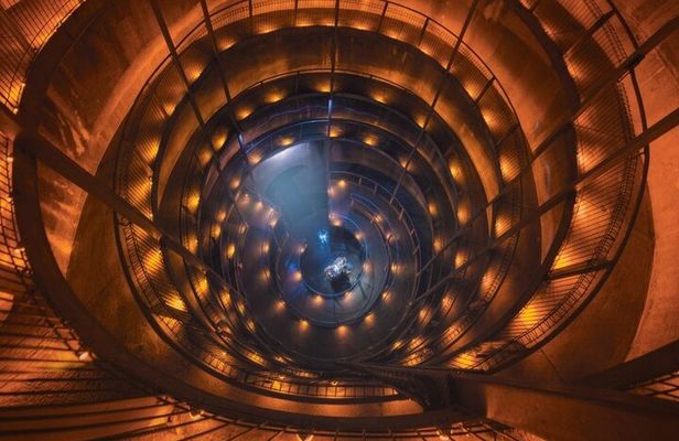 From Auckland: Waitomo Caves and Kiwi House Small Group Tour
