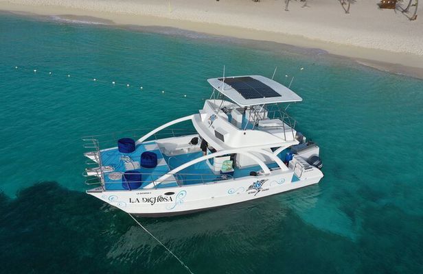 Private Full Day Charter to Saona Island from Punta Cana