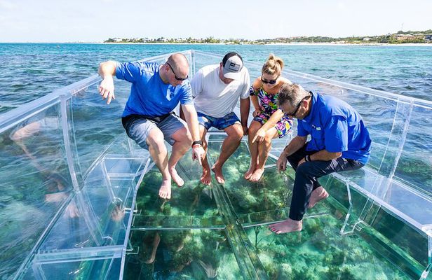 75 Minutes Clear Boat Tour in Caicos Island