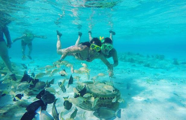 Aquarium & Johnny Cay Tour in San Andres With or Without Lunch