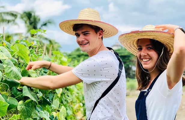 Baan Farm thai cooking Afternoon Class (Vegetarian Applicable)