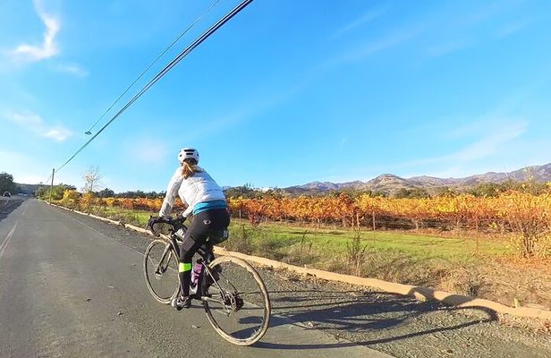 Bicycle Guided Tour in Napa and Sonoma