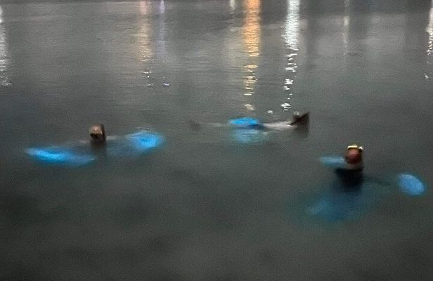 Grand Cayman - Bioluminescent Bay Tour