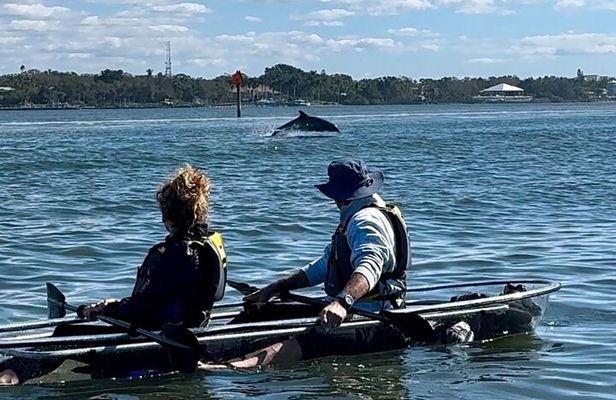 Sarasota Clear Kayak Tour