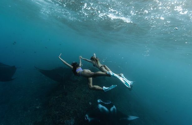 ️Nusa Penida by Private Boat - Snorkeling 4 spots, Swim with Mantas + Land Tour