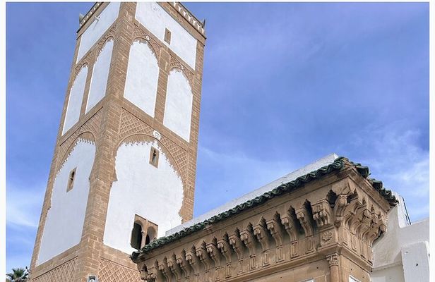 Discover Casablanca: Mosque & City Tour