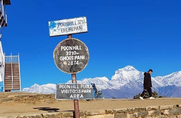 4 Days Poon Hill Trek from Pokhara