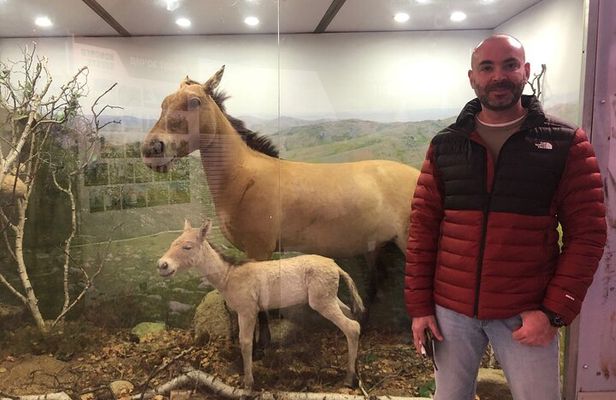 Winter Mongolia Private Day Tour in Hustai Nuruu National Park