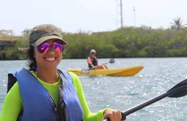 Adventure Kayak & Snorkeling at Reef Island Aruba