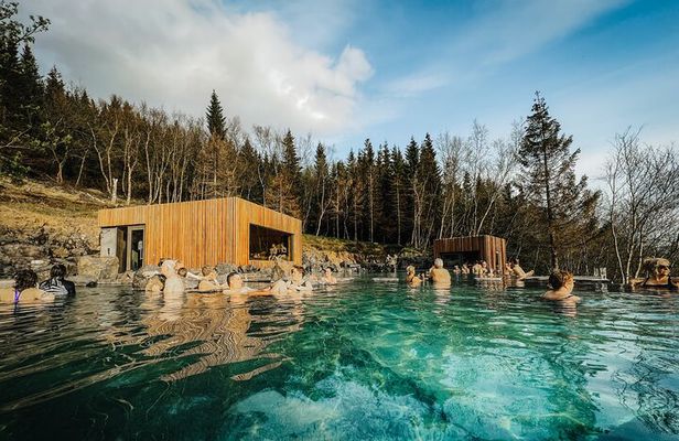 Cruise Tour Godafoss Turf Houses and Forest Baths Small Group