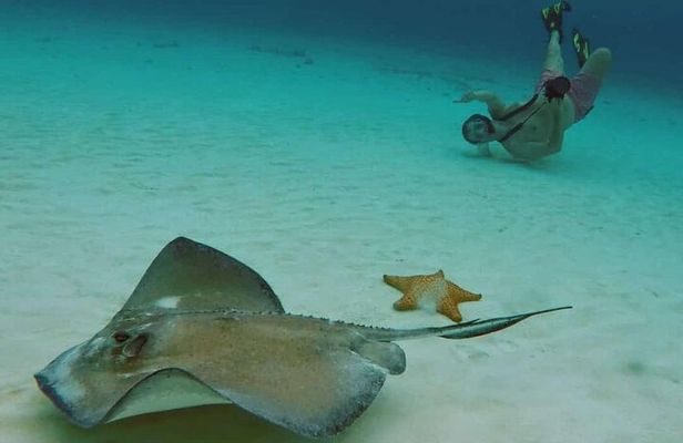 El Cielo Cozumel Snorkel tour by Catamaran
