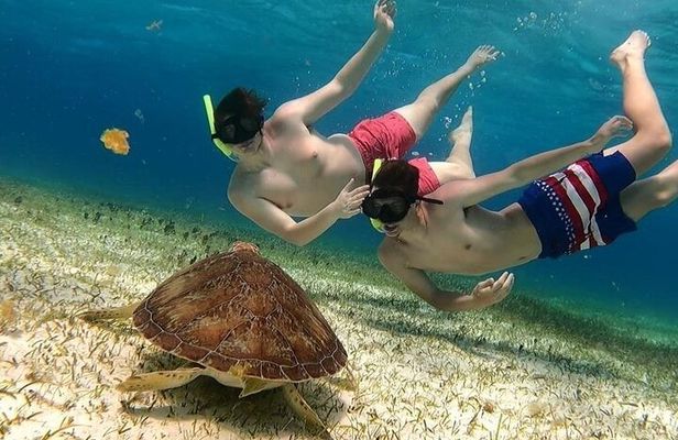 Palancar, Columbia and El Cielo Snorkeling tour by Catamaran