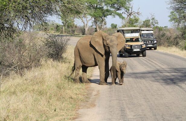 4 Days - Best of Johannesburg with Kruger 2 Days Safari