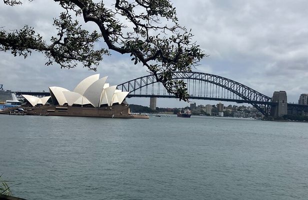 Sydney Half Day Luxury Private Tour