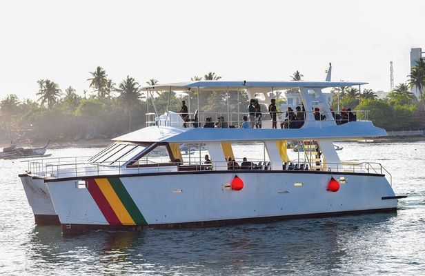 Mirissa Whale watching tour from Colombo/Negombo with Breakfast