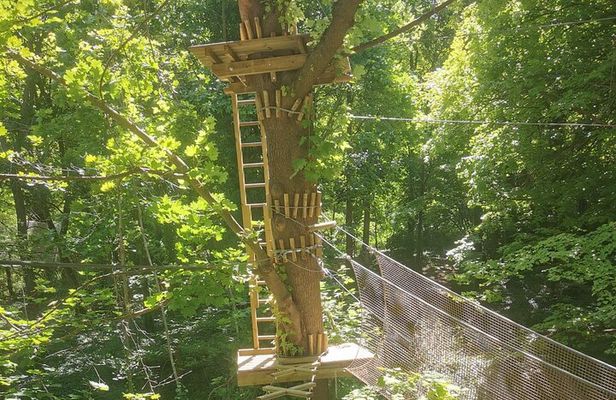 Treetop adventure course in the heart of Poissy