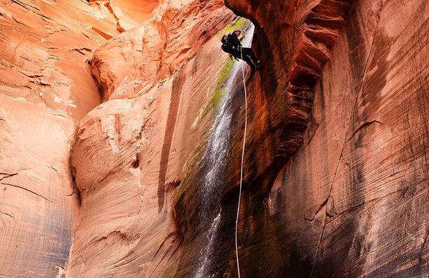 Rock and Roll Rappelling in Rock Canyon