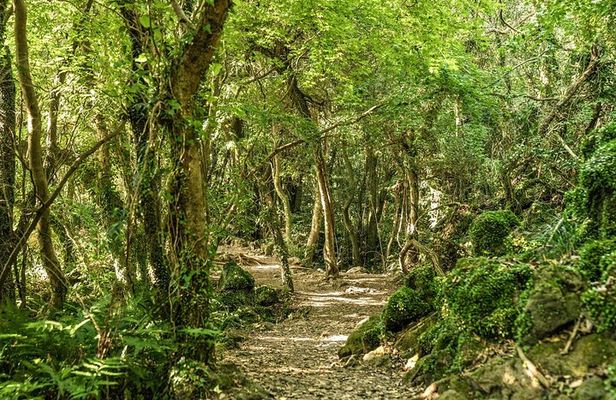 Discover Jeju in 3days: A Curated All-Inclusive Experience