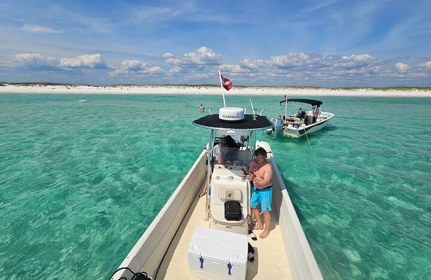 4 Hour Eco Dolphin Tour in Panama