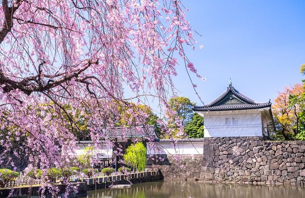 Tokyo Private Tour: Imperial Palace East Gardens, Edo Castle Site