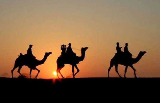 Overnight Camel Safari