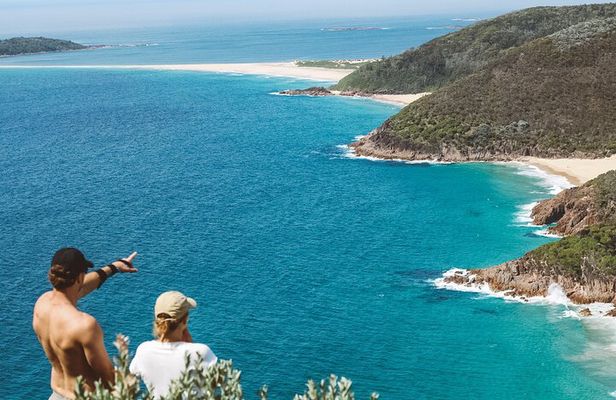 Newcastle: Port Stephens day tour - Dolphins, hike & swim!