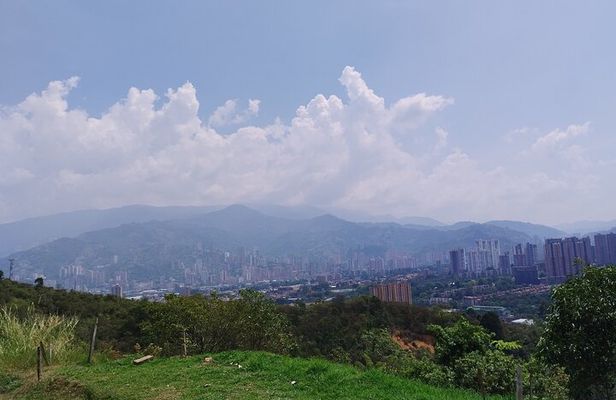 Coffee tour Medellin 