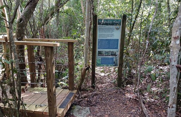 Guided Primeval Nature Walk Tour in Primeval Forest National Park