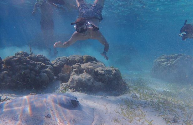 All-Inclusive Full-Day Hol Chan Snorkeling Tour