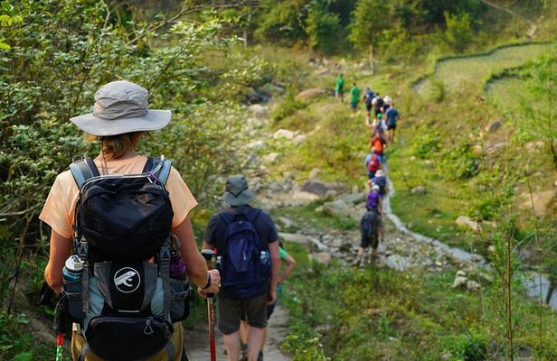 Jungle Life In Ba Be National Park 4 Days 3 Nights