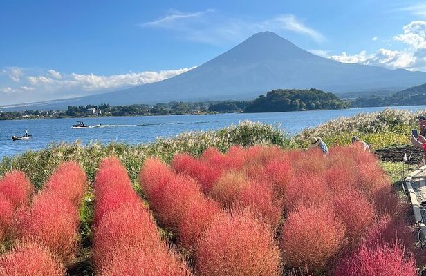 Full Day Private Tour in Mount Fuji and Hakone