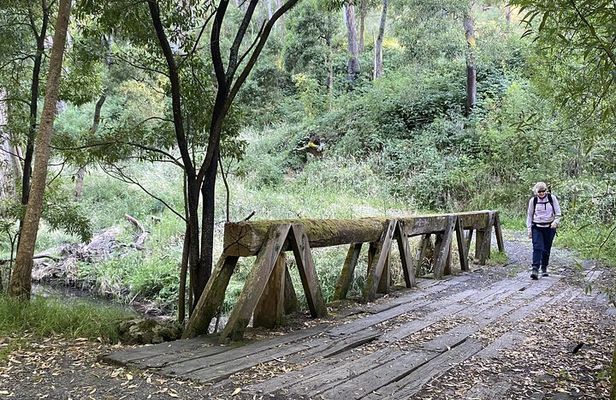 Daylesford Goldfields Track Walking and Wellness Experience