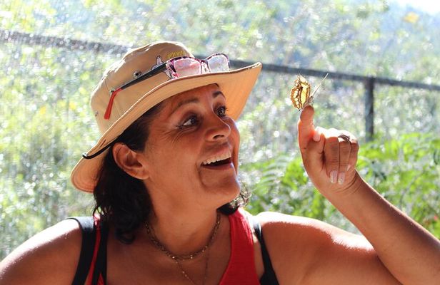 City tour, Butterflies, Tequila, river & Beach with Food included