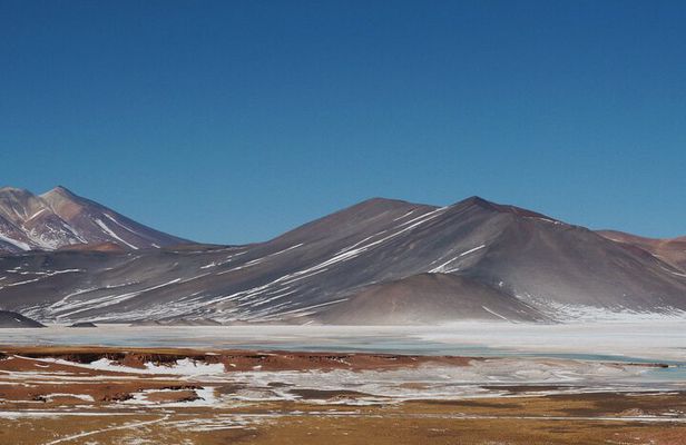 Day Tour to Piedras Rojas and Altiplanic and Chaxa Lagoons