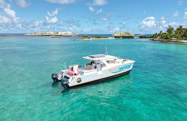 Public All-Inclusive Icacos Power Catamaran Snorkel And Beach