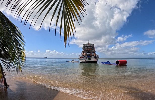 All-Inclusive Vieques: Swim with Turtles, Pristine Beaches Await!