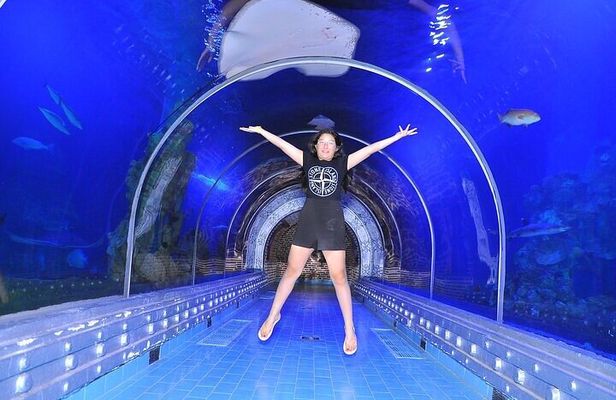 Museum Grand Aquarium from Hurghada