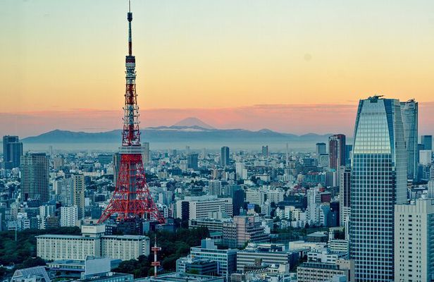 Tokyo Tailored 4 Hours Private Guided Tour