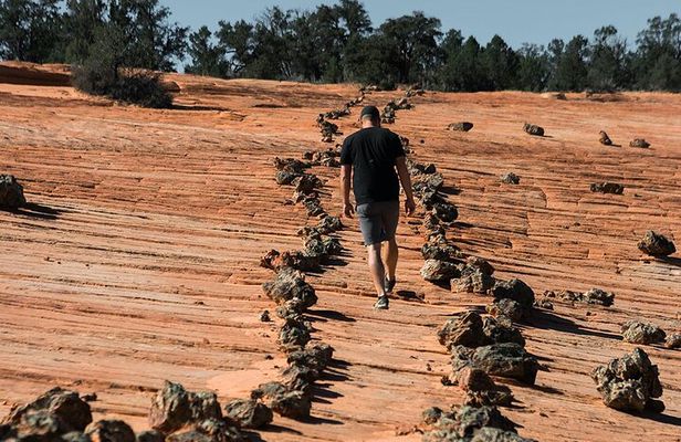 East Zion Outback UTV Tour with Licensed Guide