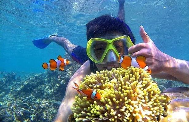 Bali : Blue Lagoon Snorkeling - All inclusive