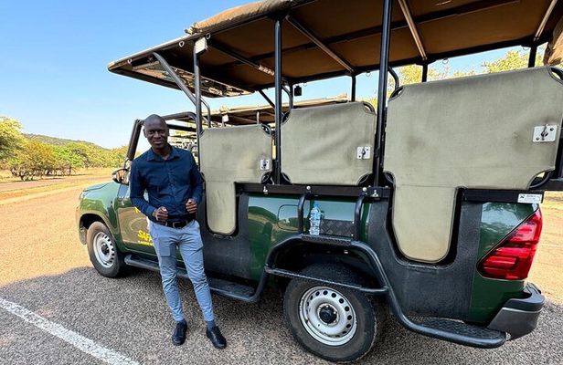 3 Hour Pilanesberg Open Vehicle Safari from Johannesburg