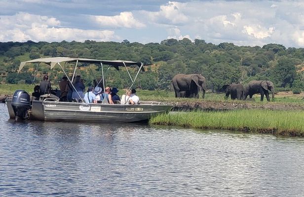 A Chobe Full Day Tour - Botwana 