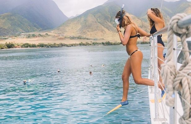 Lahaina Maui Sea Turtle Snorkel Sail Adventure w/Lunch & Open Bar