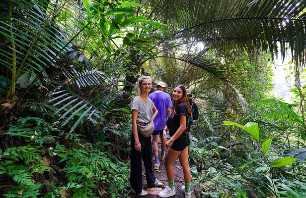 4-Day Jungle Trekking in Ba Be National Park