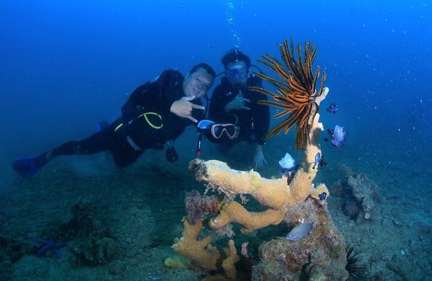 Scuba Diving Experience in Nha Trang Bay
