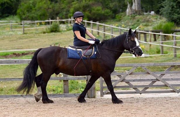 Kemer Horse Riding Experience with Transfer