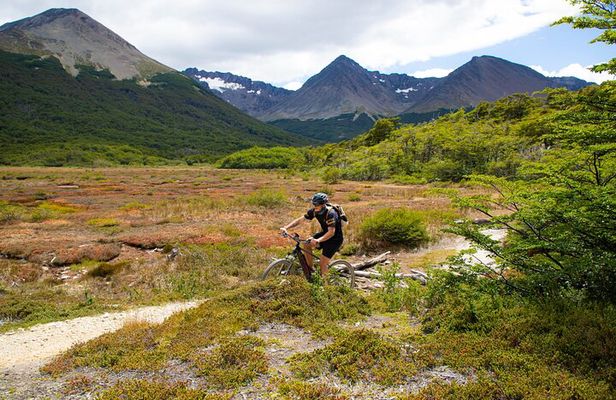 Assisted Bicycle Experience to the Beagle Channel Viewpoint