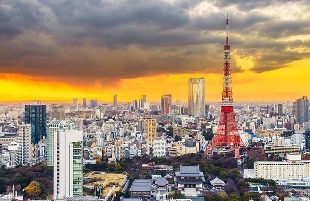 Tokyo Full Day Private Tour with English Guide Driver